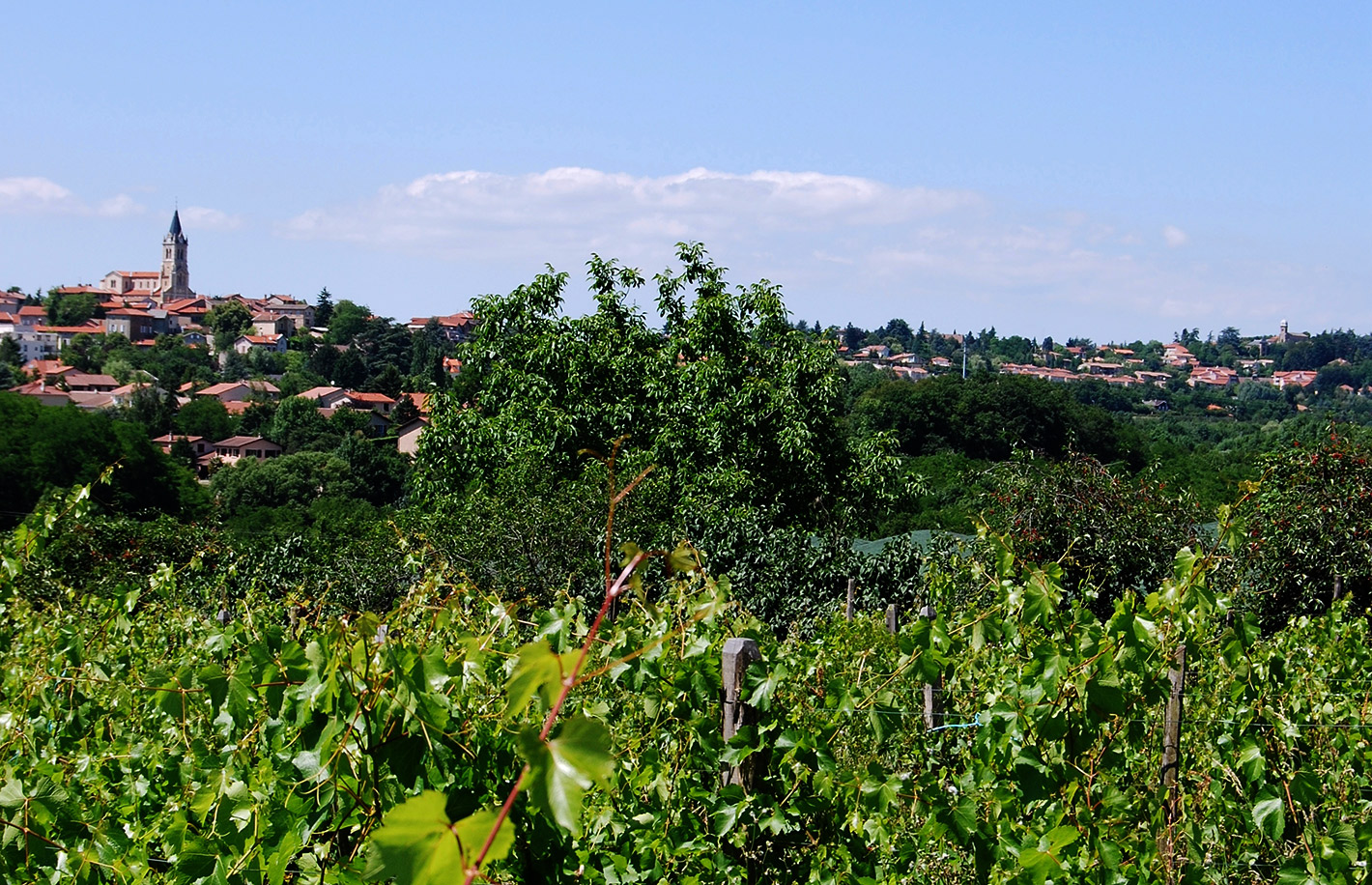 Vue de Dardilly © Ville de Dardilly