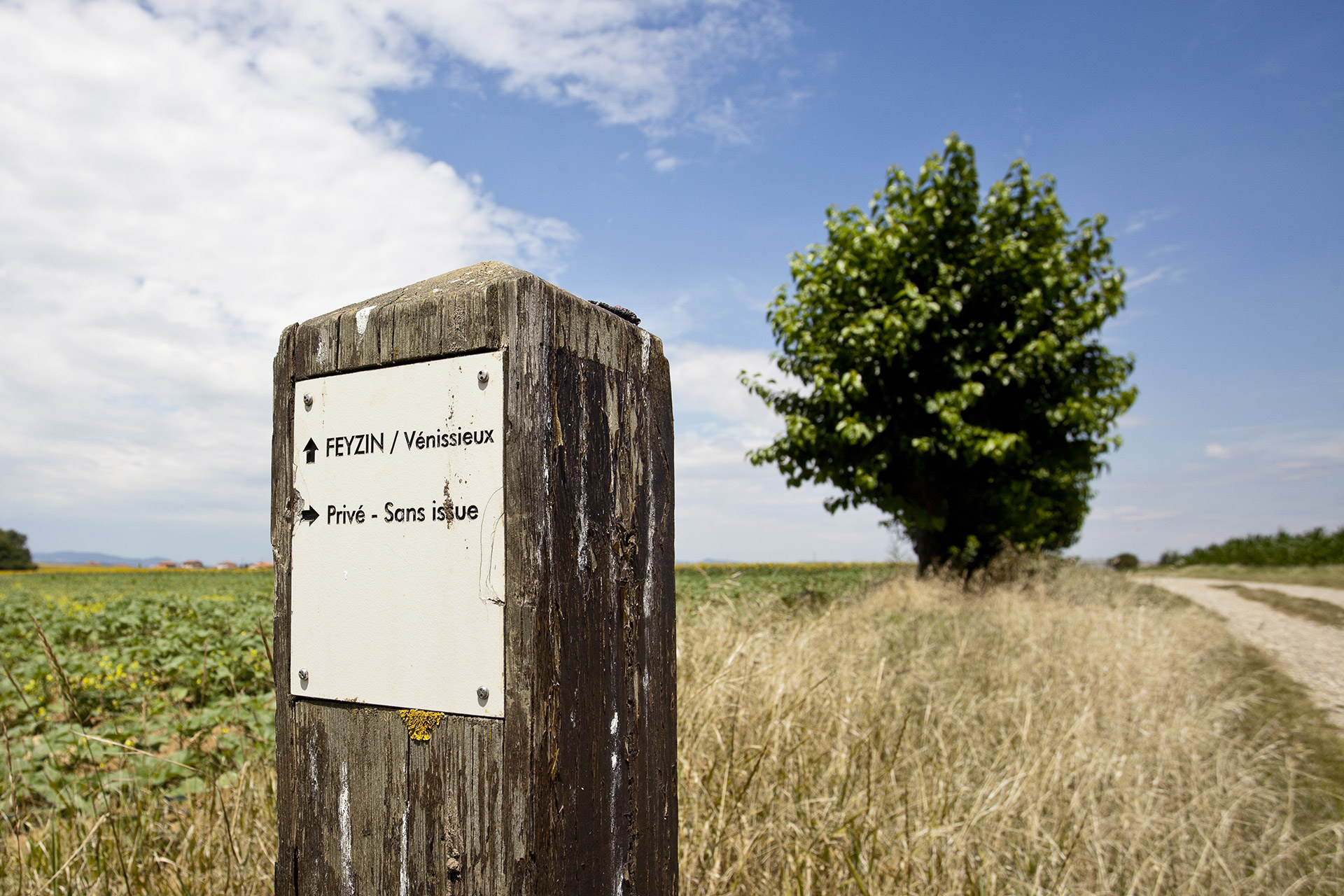 Plateau des grandes terres © www.b-rob.com