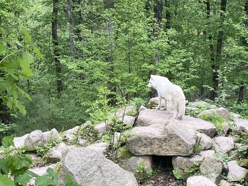 Parc de Courzieu © Florence Chappuis