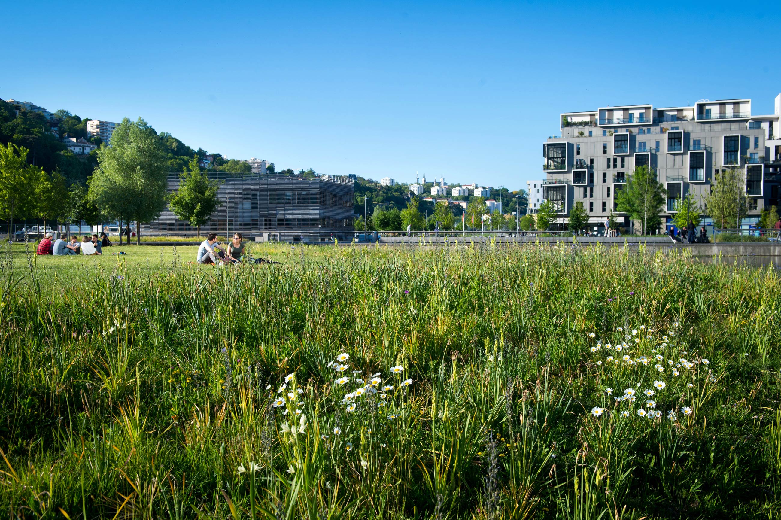 Confluences, jardins aquatiques - © Laurence Danière - Métropole de Lyon