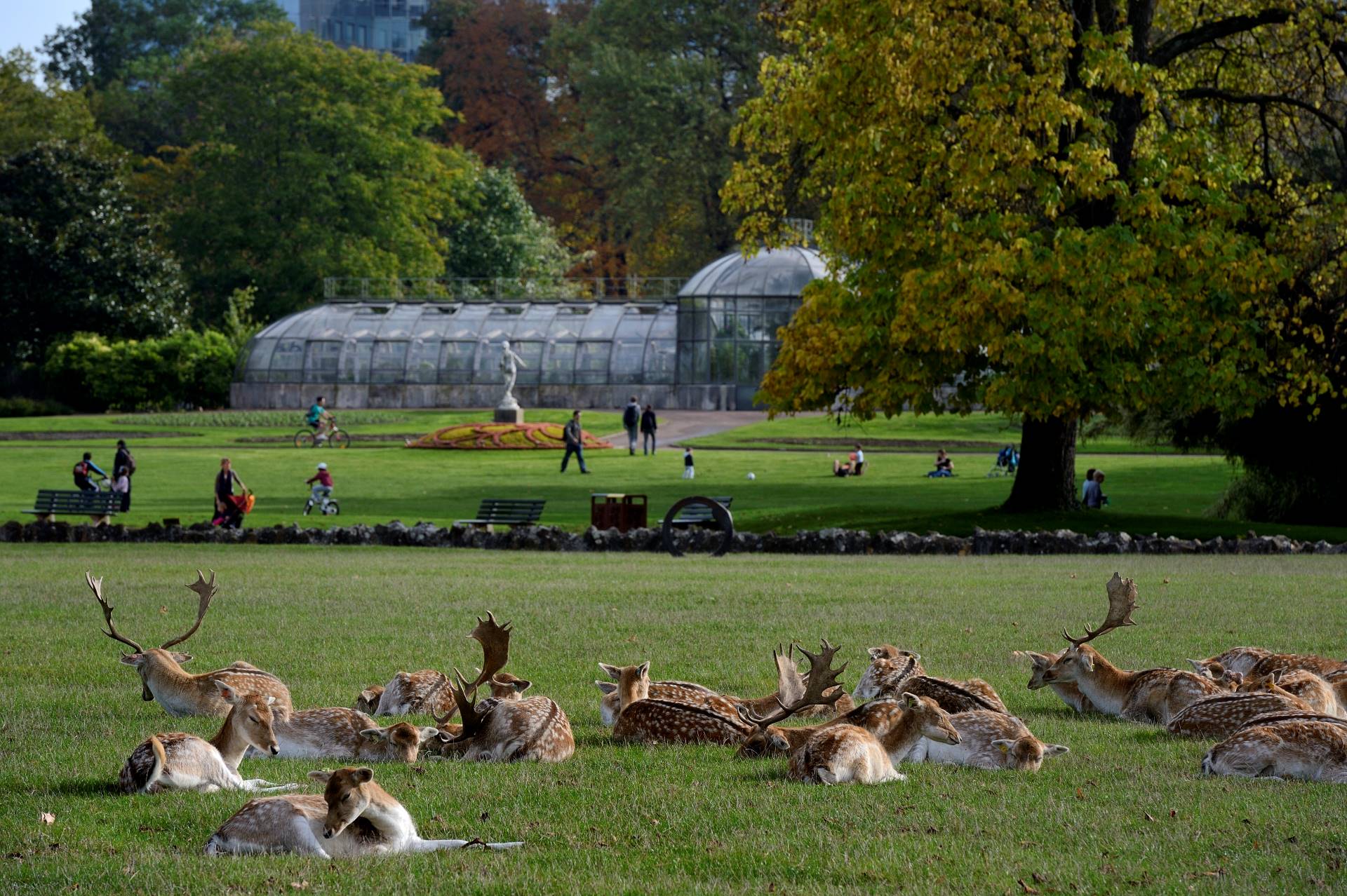 Zoo du Parc de la Tête d’Or - © Métropole de Lyon - Laurence Daniere