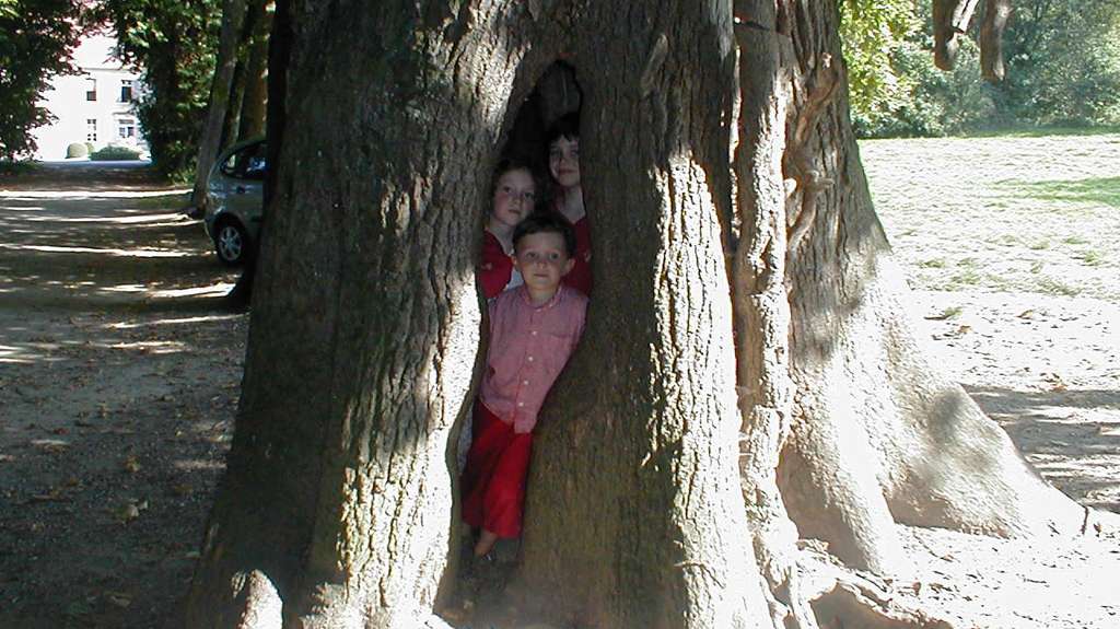 3 enfants cachés au creux d'un arbre © IF