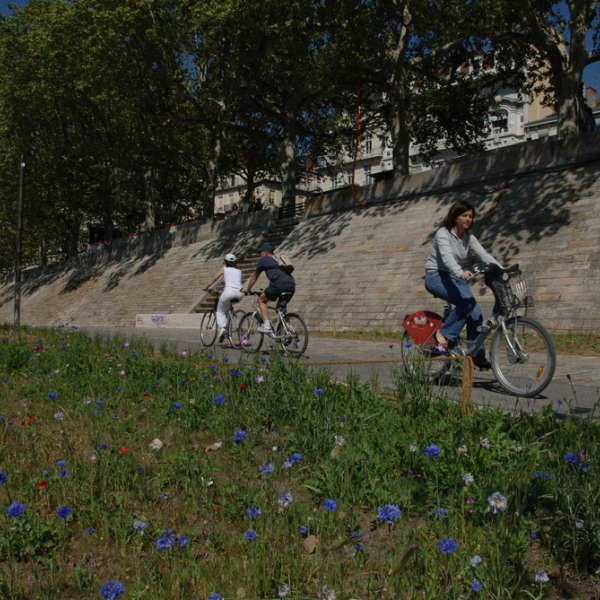 Vélo lyon deals