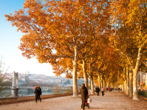 Berges du Rhône -Delphine Castel