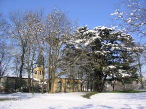 Genay sous la neige