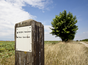 Plateau des Grandes terres - www-b-rob-com