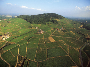 Vue du Mont Brouilly - Beaujolais Vignoble