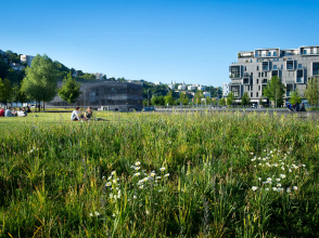 Confluences, jardins aquatiques - © Laurence Danière - Métropole de Lyon