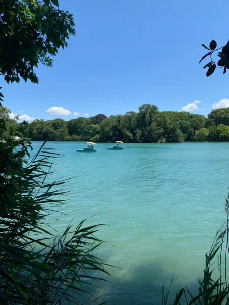 Sur le lac du parc de la Tête d'Or © Carole Fournet