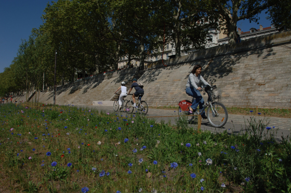 Berges du Rhône © Jacques Léone