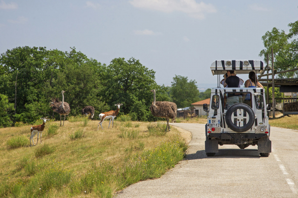 Le Safari de Peaugres © Arthus Boutin