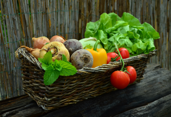 Panier de légumes frais © Congerdesign / ¨Pixabay