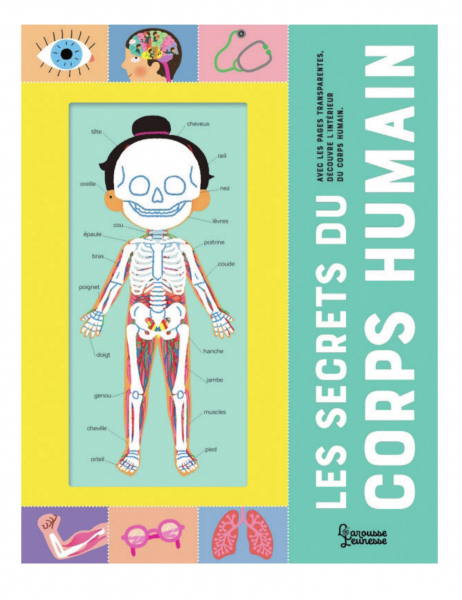 Les Secrets du corps humain, de Mélisande Luthringer (illustrations), éd. Larousse jeunesse