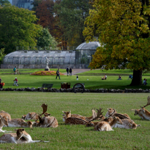 Zoo du Parc de la Tête d’Or - © Métropole de Lyon - Laurence Daniere